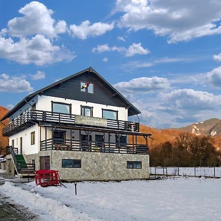 ホテル Casa Georgescu Rîşnov エクステリア 写真