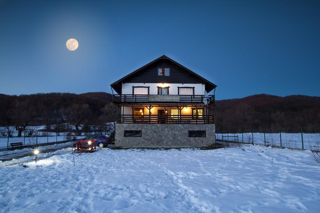 ホテル Casa Georgescu Rîşnov エクステリア 写真